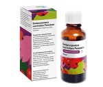 Боярышника настойка Реневал, настойка 25 мл 1 шт
