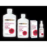 Велтосепт-2, раствор дезинфицирующий 1 л 1 шт